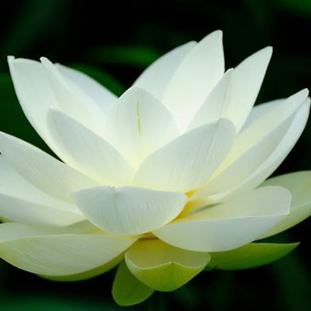 Meet your Posher, Marina